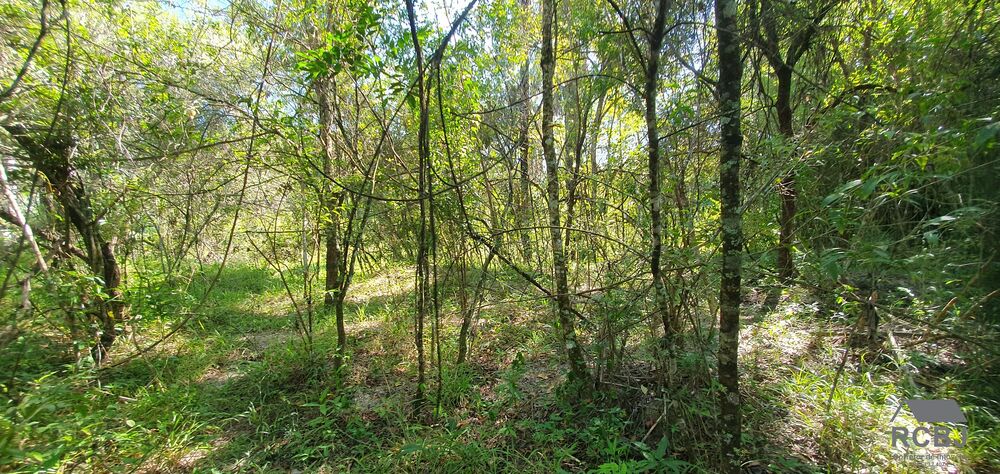 Fazenda, 13 m² - Foto 22