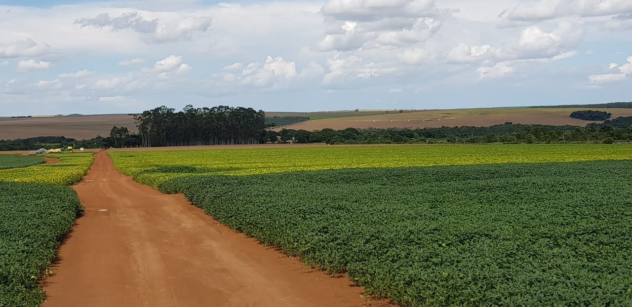 Fazenda à venda - Foto 10