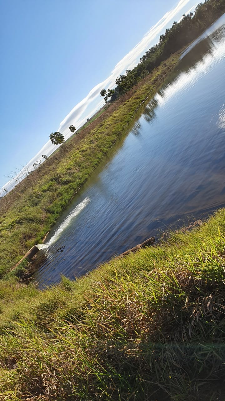 Fazenda à venda - Foto 8