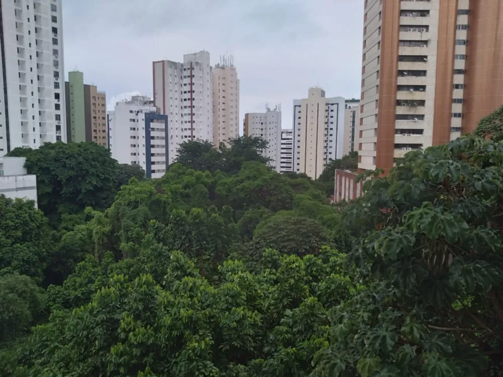 Apartamento, 4 quartos, 200 m² - Foto 10
