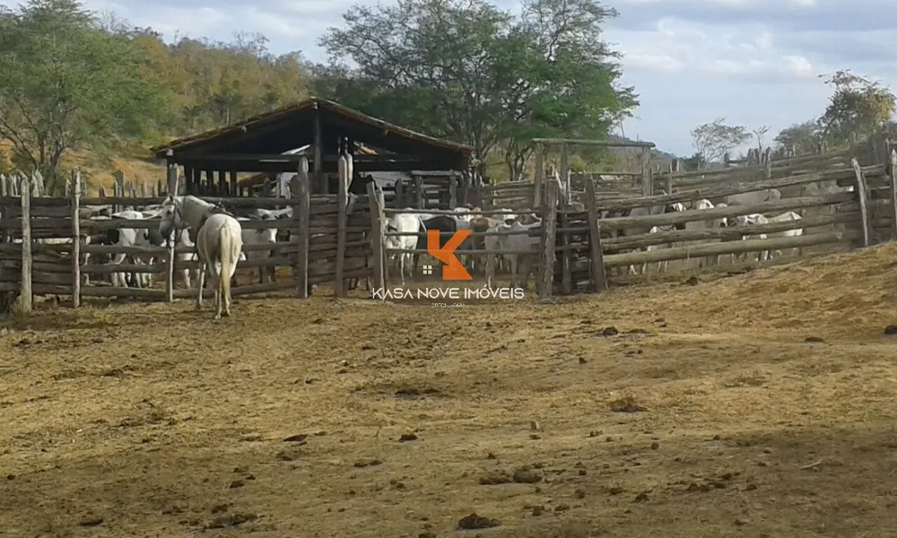 Fazenda, 653 m² - Foto 10