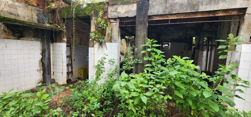 Terreno, 550 m² - Foto 2