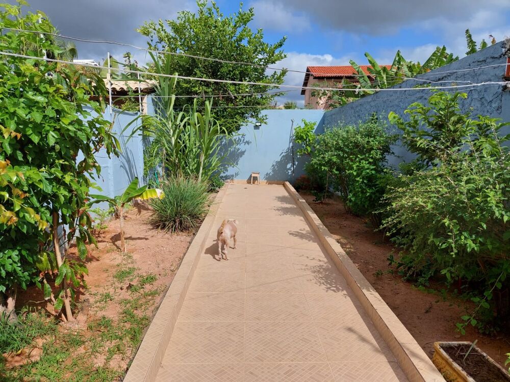 Casa, 4 quartos, 300 m² - Foto 6