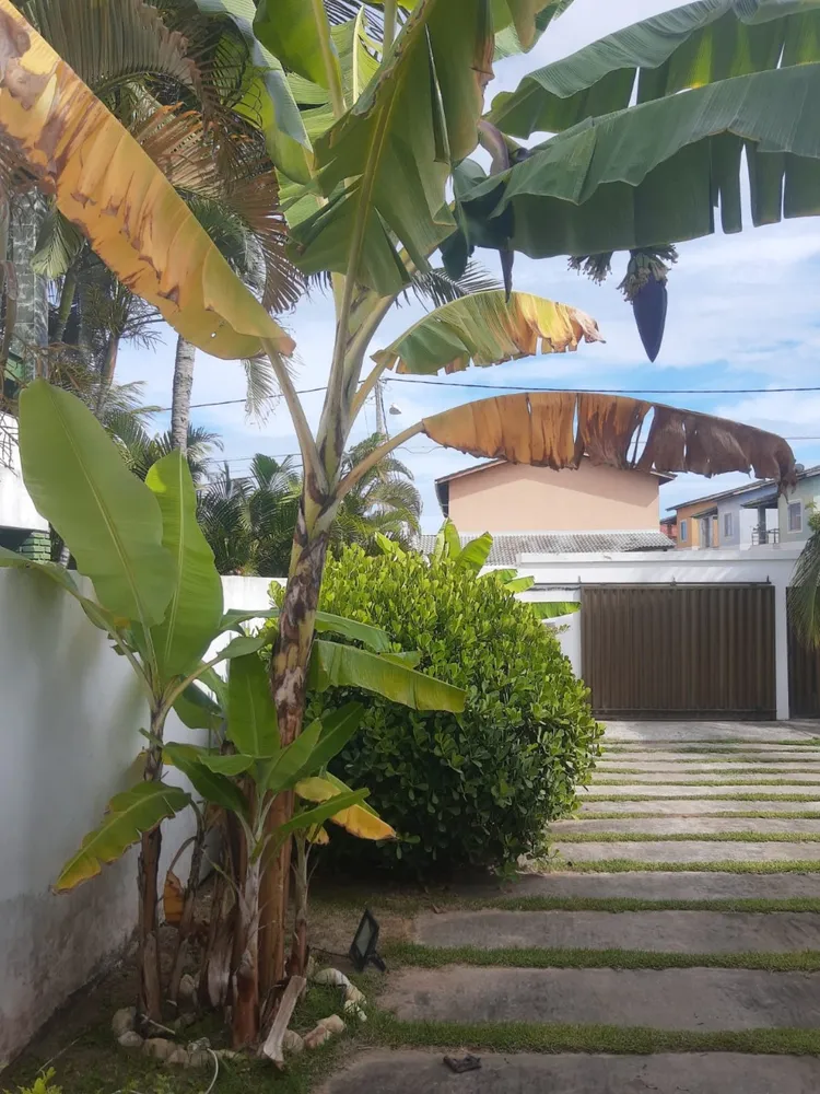 Casa, 4 quartos, 800 m² - Foto 3
