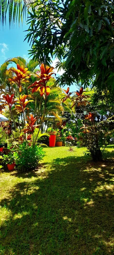 Casa, 3 quartos - Foto 12