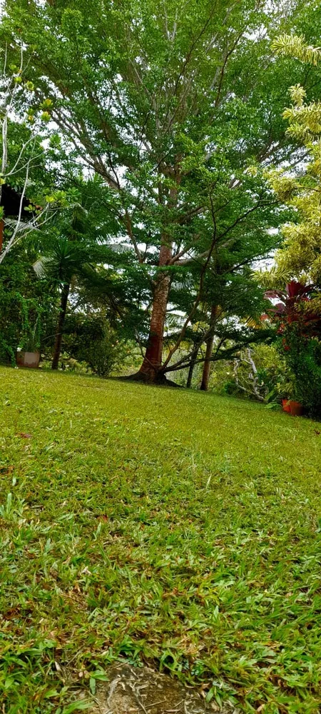 Casa, 3 quartos - Foto 11