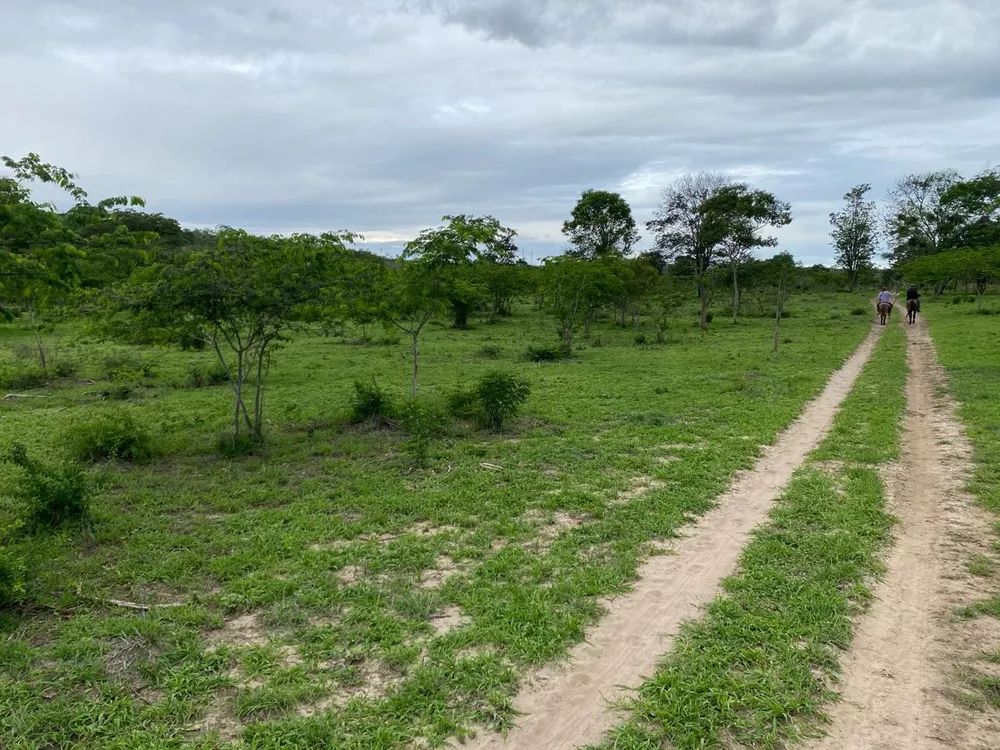 Fazenda à venda com 4 quartos, 9960202m² - Foto 1