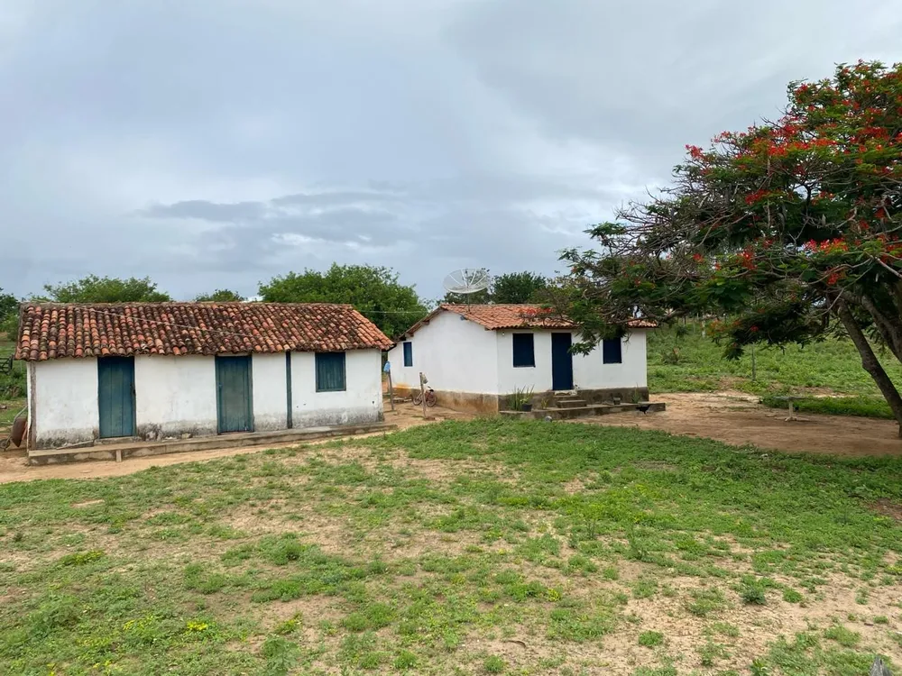 Fazenda, 996 m² - Foto 9