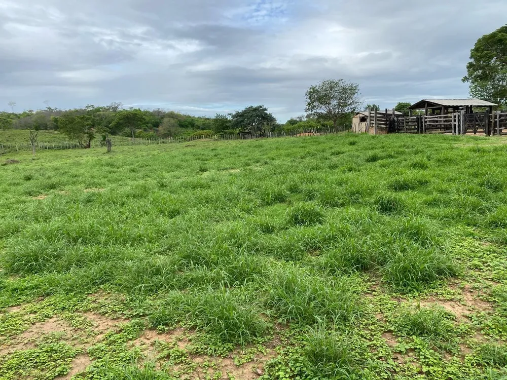 Fazenda, 996 m² - Foto 10