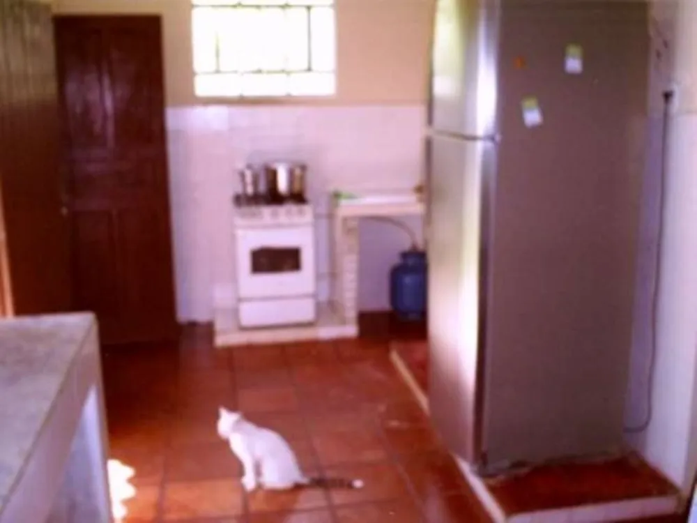 Terreno, 7980 m² - Foto 16
