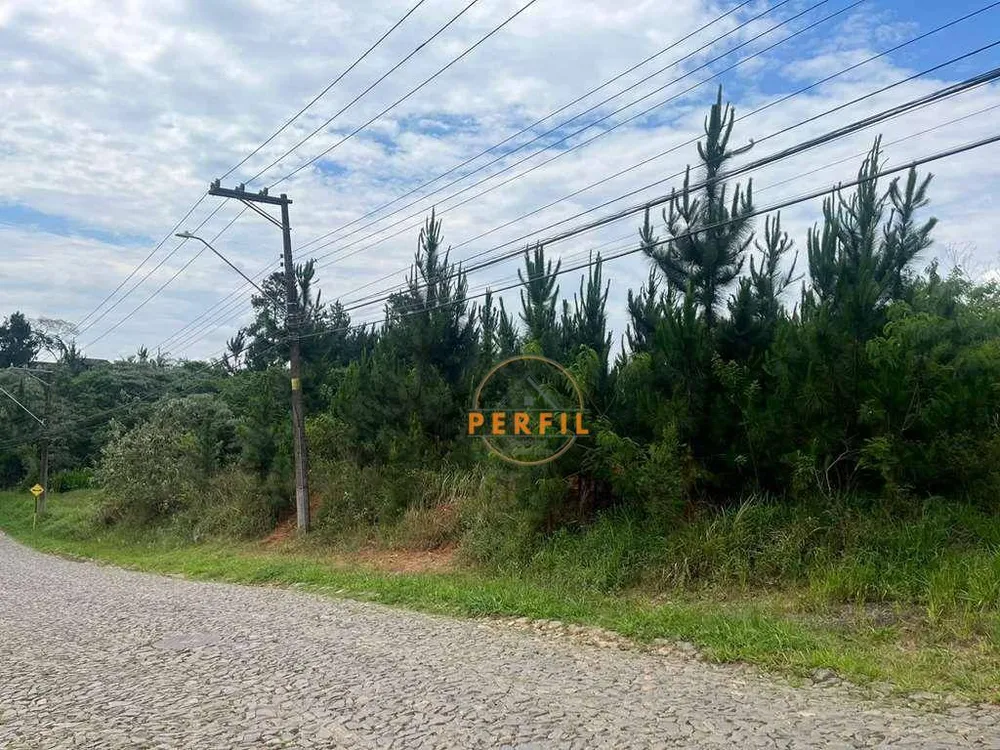 Terreno, 4973 m² - Foto 4