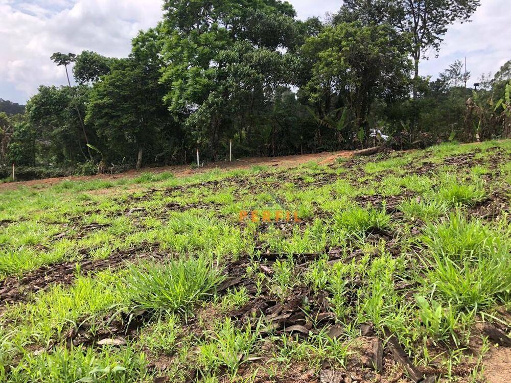 Terreno, 7000 m² - Foto 4