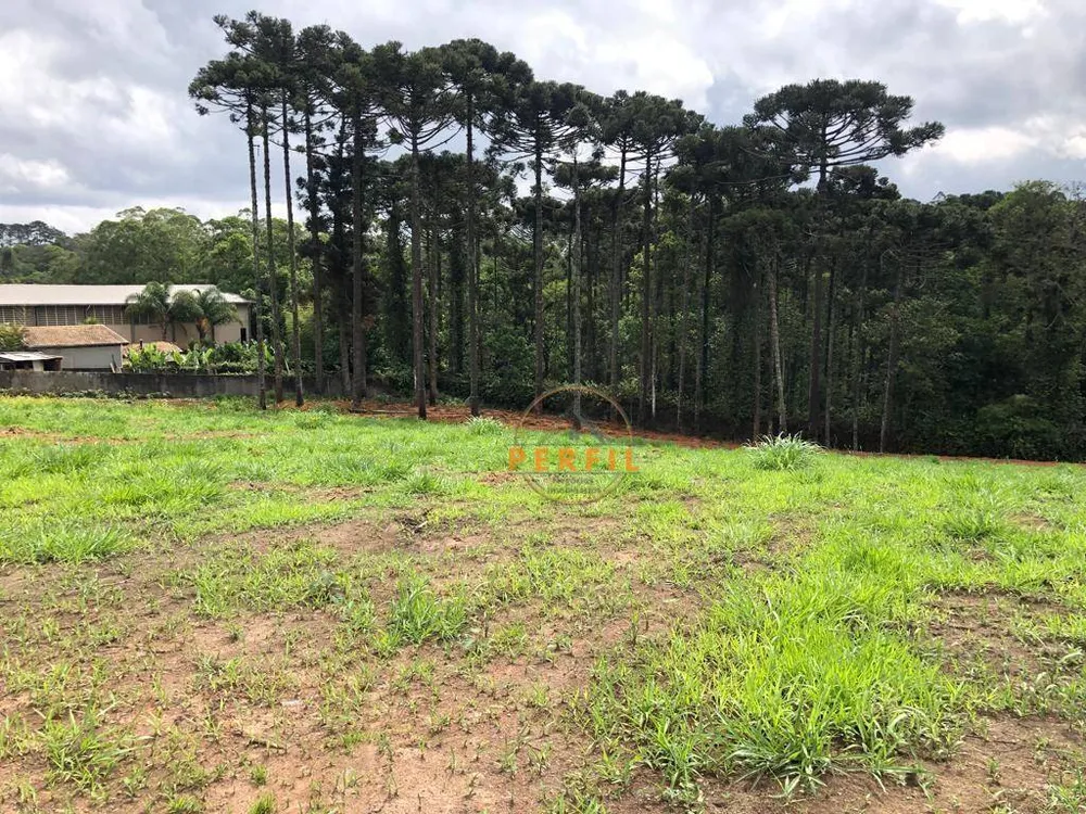 Terreno, 7000 m² - Foto 4