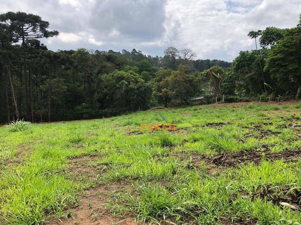Terreno, 7000 m² - Foto 1