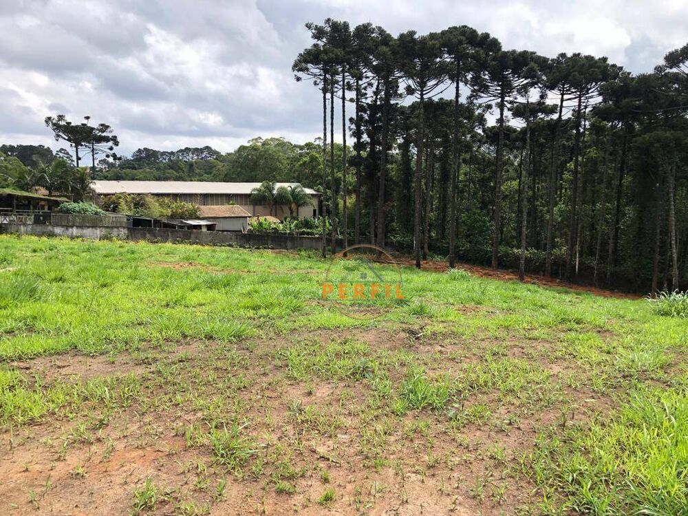 Terreno, 7000 m² - Foto 3