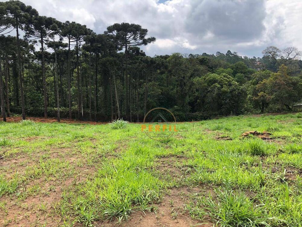 Terreno, 7000 m² - Foto 2