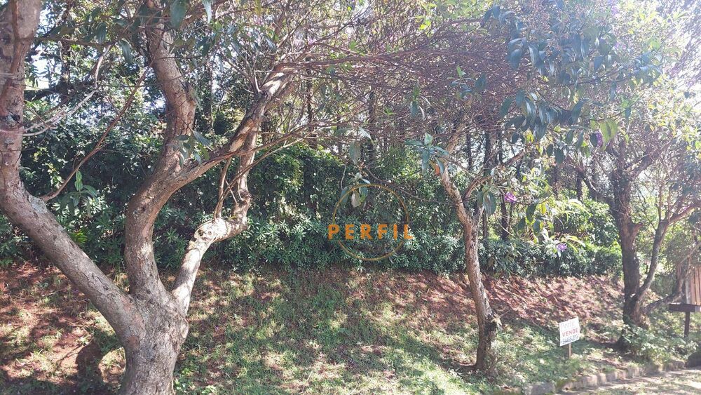 Loteamento e Condomínio, 1000 m² - Foto 2