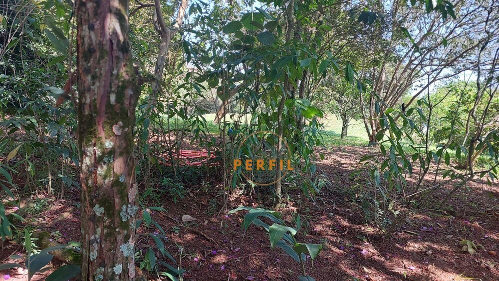 Loteamento e Condomínio, 1000 m² - Foto 1