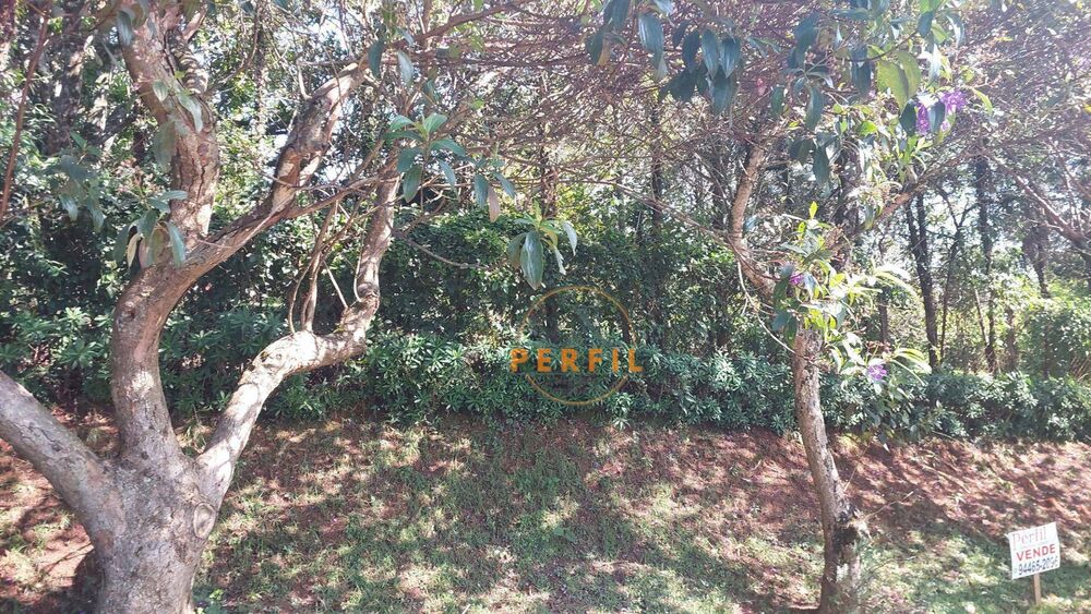 Loteamento e Condomínio, 1000 m² - Foto 3