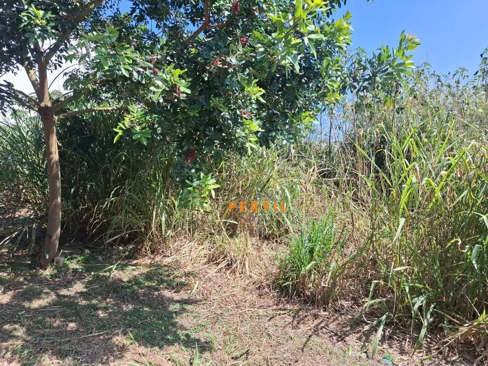 Loteamento e Condomínio, 135 m² - Foto 3