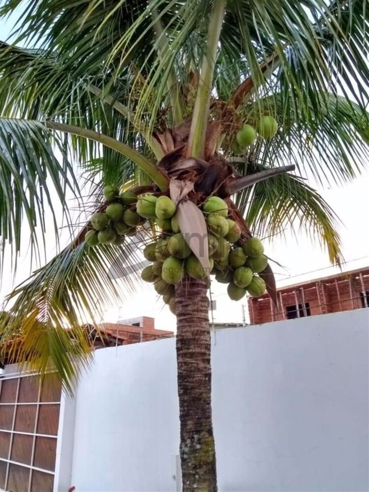 Casa, 4 quartos - Foto 6