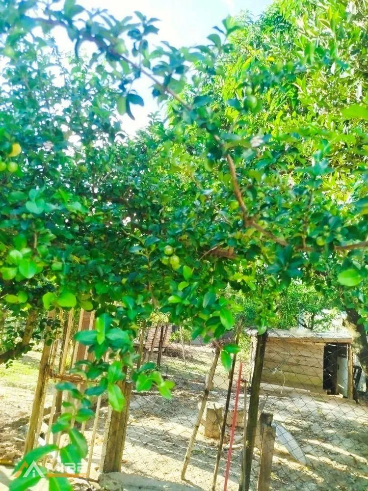 Chácara, 2 quartos, 1450 m² - Foto 12