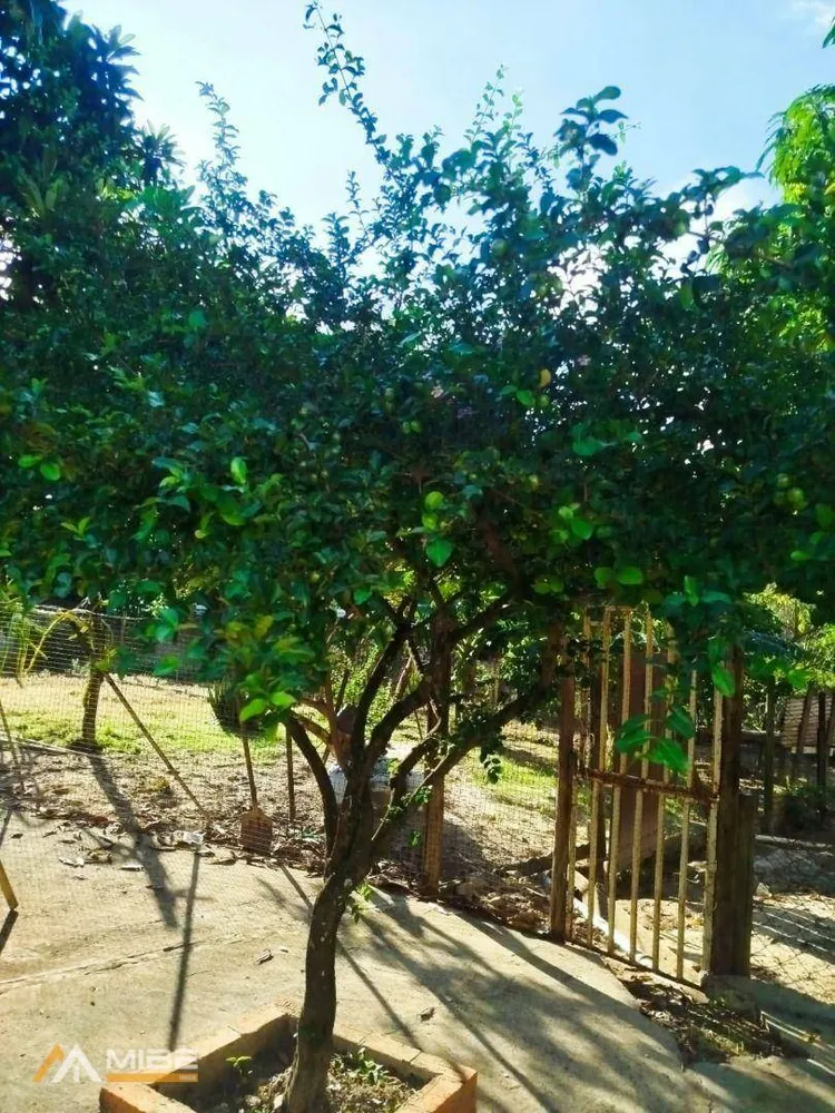 Chácara, 2 quartos, 1450 m² - Foto 15