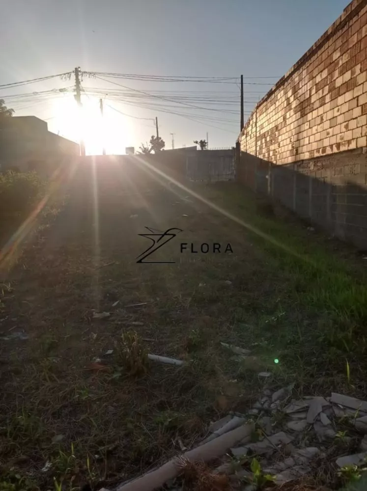 Terreno, 250 m² - Foto 5