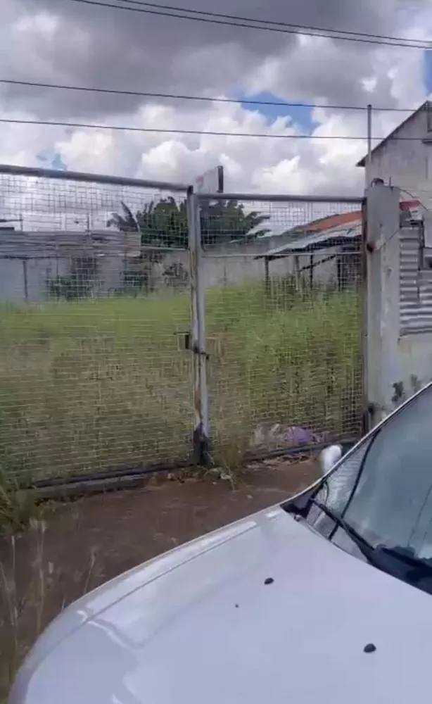 Terreno, 251 m² - Foto 6