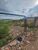 Terreno, 250 m² - Foto 1