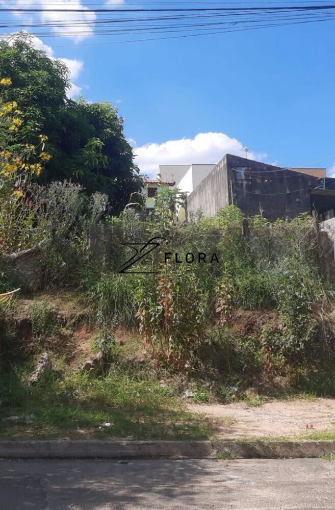 Terreno, 250 m² - Foto 2