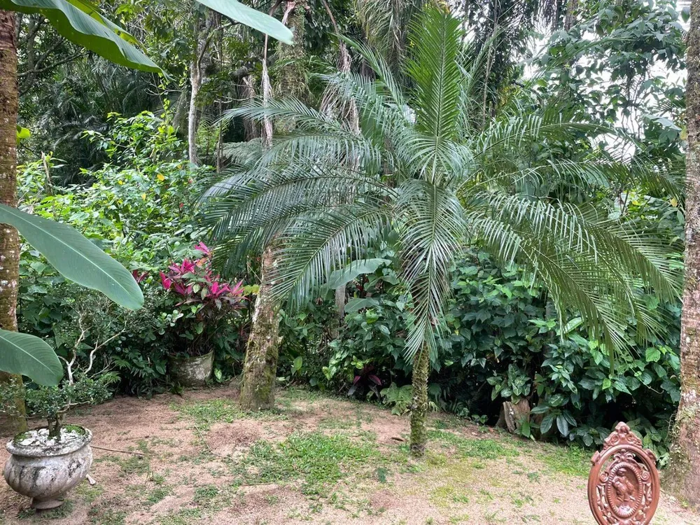 Casa, 5 quartos, 450 m² - Foto 4
