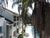 Casa, 3 quartos, 92 m² - Foto 1