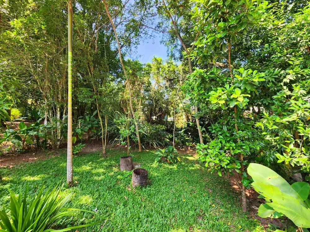 Casa, 5 quartos, 416 m² - Foto 5