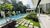 Casa, 8 quartos, 800 m² - Foto 1