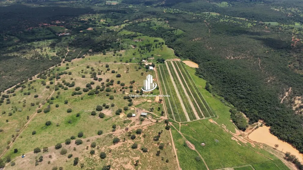 Fazenda, 2 hectares - Foto 9