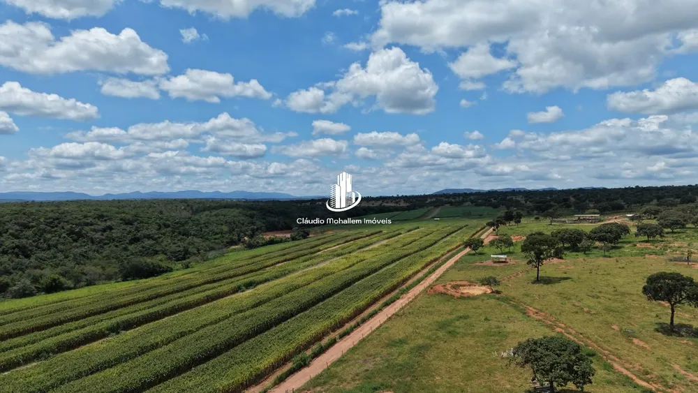 Fazenda, 2 hectares - Foto 11