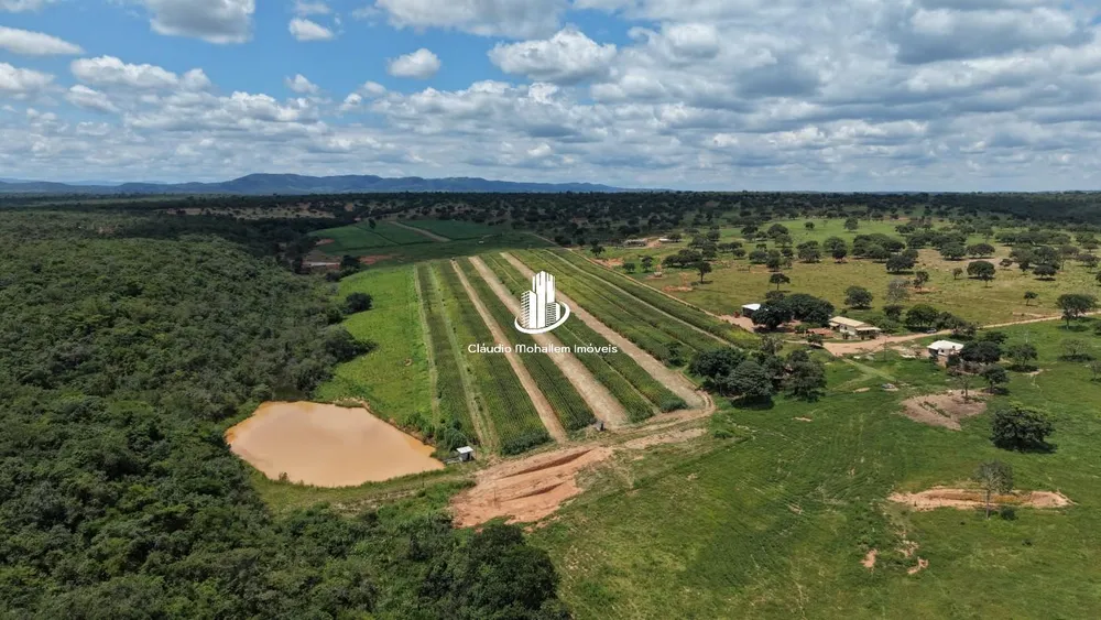Fazenda, 2 hectares - Foto 12