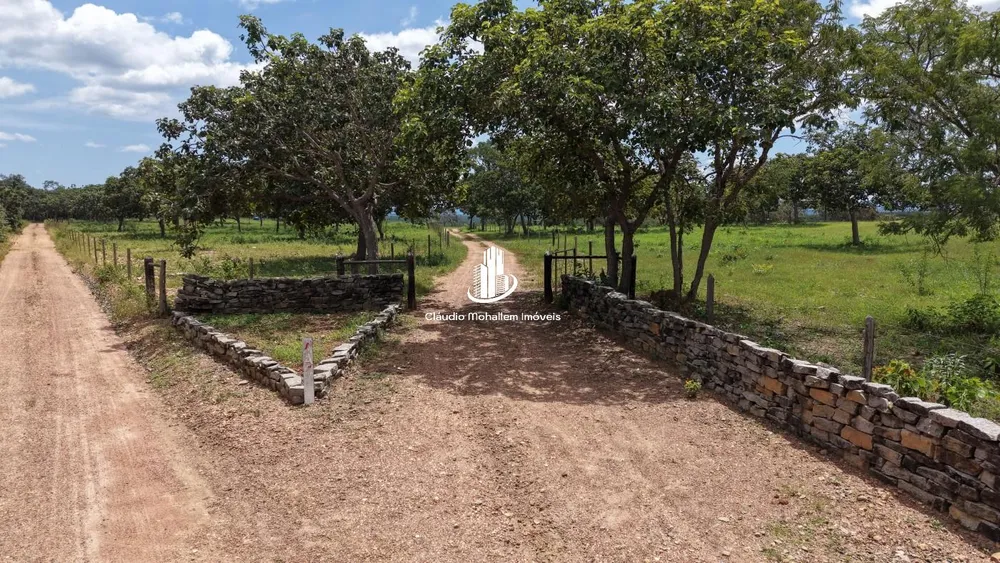 Fazenda, 2 hectares - Foto 6