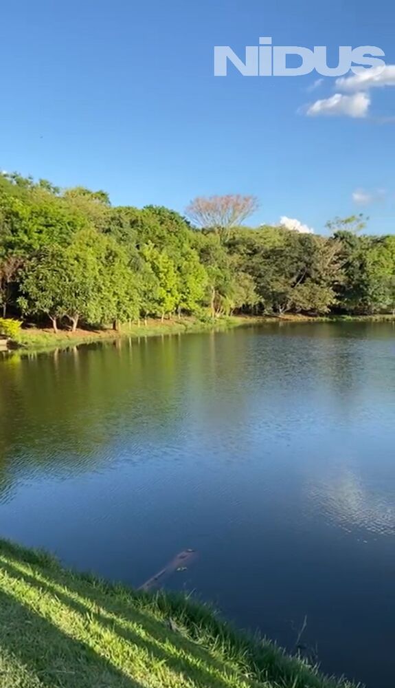 Casa, 4 quartos - Foto 2