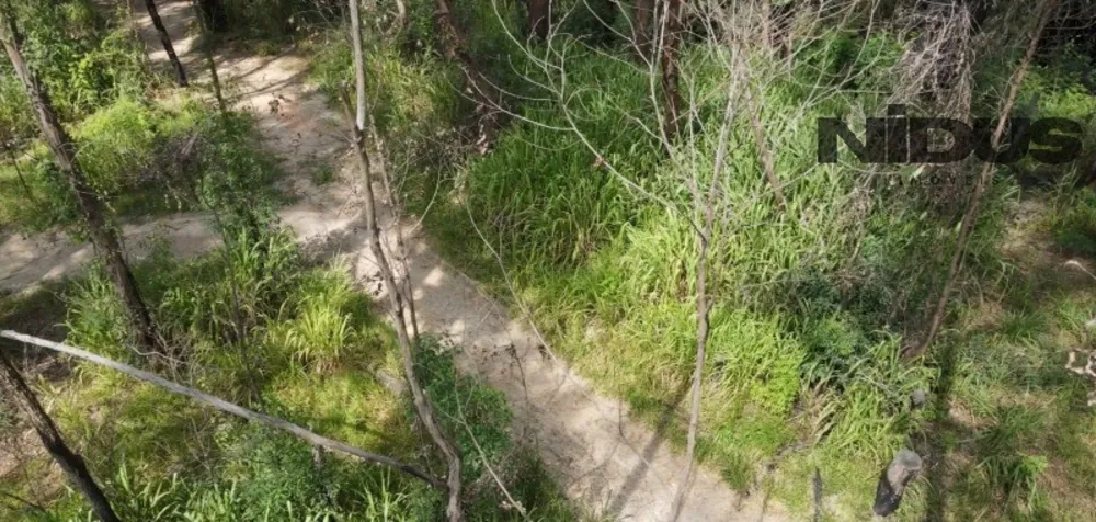 Terreno, 1 hectares - Foto 7