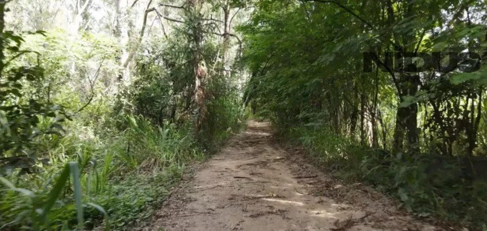 Terreno, 1 hectares - Foto 6