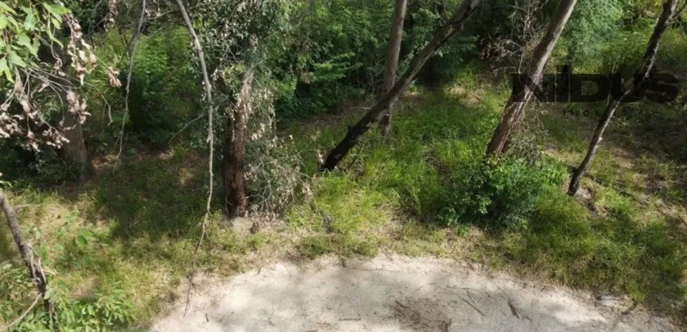 Terreno, 1 hectares - Foto 8
