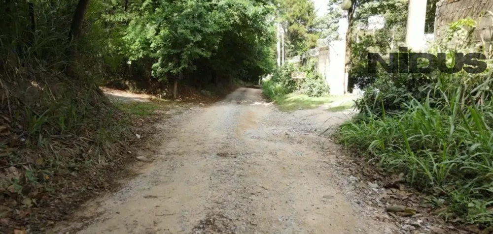 Terreno, 1 hectares - Foto 4