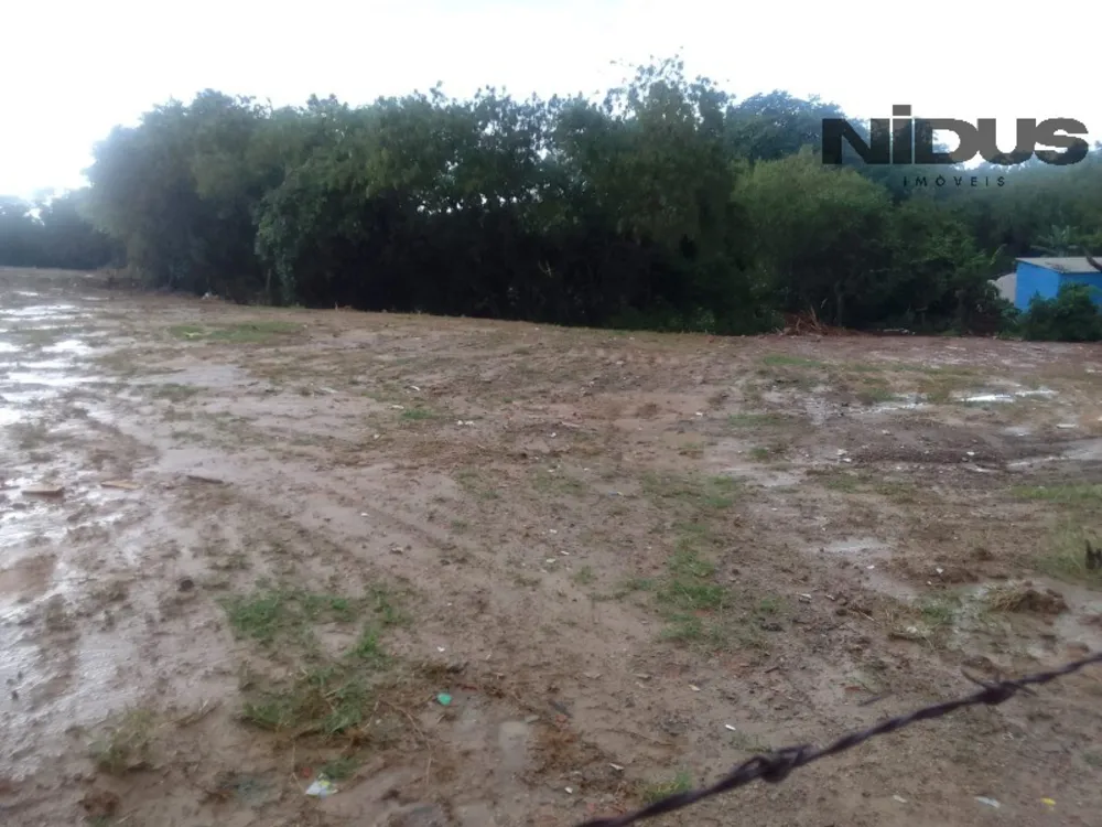 Terreno, 1 hectares - Foto 4