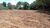 Terreno, 1 hectares - Foto 3