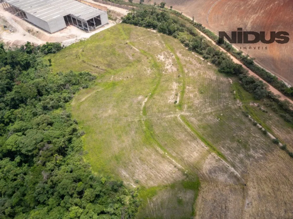 Terreno, 3 hectares - Foto 7