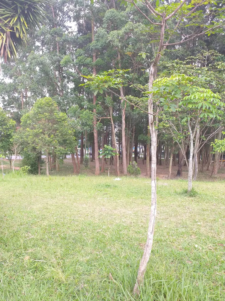 Apartamento, 2 quartos, 37 m² - Foto 9