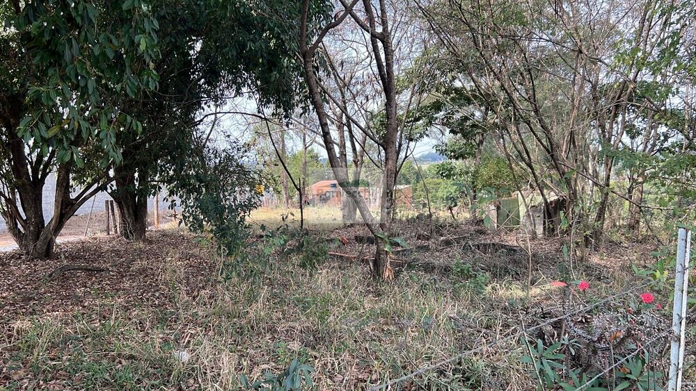 Terreno - Foto 1