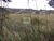 Terreno, 2200 m² - Foto 7